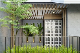 Nhà ống thoáng khí, tươi xanh sau cuộc “đại phẫu”