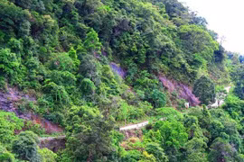 Sự cố sạt lở lớn nhất lịch sử con đường độc đạo lên Bạch Mã