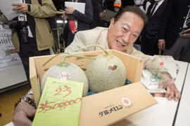 Điều gì khiến dưa lưới Nhật có giá hơn nửa tỷ đồng/cặp? 