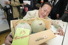 Điều gì khiến dưa lưới Nhật có giá hơn nửa tỷ đồng/cặp? 