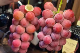 Cách nhận biết nho Trung Quốc gắn mác nho Nhật Bản 