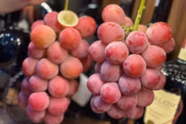 Cách nhận biết nho Trung Quốc gắn mác nho Nhật Bản 