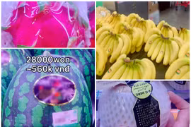 “Ngã ngửa” giá trái cây Việt trong siêu thị Hàn Quốc