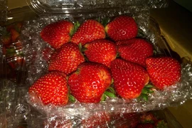 Dâu tây giá rẻ đầy vỉa hè, phân biệt dâu Trung Quốc thế nào?