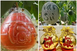 3 loại quả khắc chữ tài lộc “cháy hàng” dịp Tết Giáp Thìn 2024 