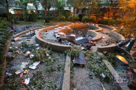 Nghịch tử phân xác mẹ lãnh án chung thân