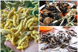 3 đặc sản Việt nhìn ghê rợn vẫn khiến dân nhậu săn lùng