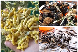 3 đặc sản Việt nhìn ghê rợn vẫn khiến dân nhậu săn lùng