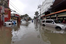 Tiến sĩ đề xuất dùng lu nước chống ngập, chuyên gia nói gì?