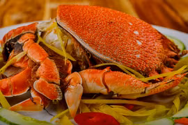 Trước giảm giá 'sốc', cua huỳnh đế vừa đắt vừa hiếm có tiền chưa chắc được ăn
