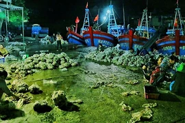 Những khu chợ xuyên đêm độc đáo ở Việt Nam