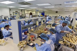 Ảnh: Bên trong “ngân hàng máu” lớn nhất Việt Nam