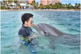 Cuộc sống giản dị của thiếu gia vụt thành tỷ phú sau một đêm