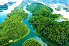 Hô Thác Bà, Yên Bái