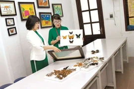 Học làm họa sĩ ở... bảo tàng