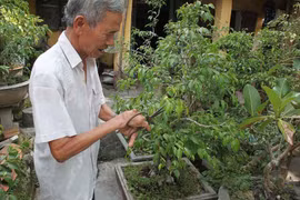 Lạ lùng gia đình 1 ngón ở Hà Nam