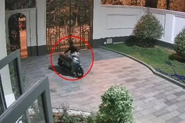 Clip: Bắt giữ nhóm chuyên trộm xe máy lộng hành ở Bình Dương