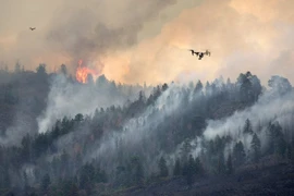 Sử dụng UAV và cảm biến IoT phát hiện sớm cháy rừng