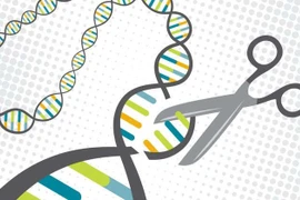 Gen có thể bật và tắt