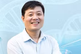 GS Vũ Hà Văn được Hiệp hội quốc tế bầu là Fellows xuất sắc năm 2020