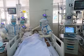 Mùa dịch: Hãy bình tĩnh và đừng để bị lợi dụng 