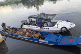 Tang vật bị thu giữ.