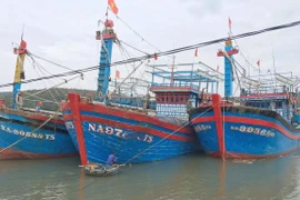 Tỉnh Nghệ An cấm các loại tàu thuyền ra khơi kể từ 0h ngày 10/10.