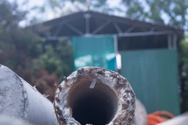 Cần thanh tra toàn diện vụ hàng trăm cột điện gãy đôi sau bão