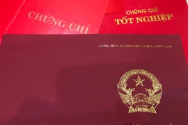 Sử dụng chứng chỉ tiếng Anh không hợp pháp, Phó Bí thư Thường trực Thành ủy Lai Châu bị cách chức