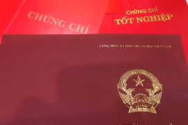 Sử dụng chứng chỉ tiếng Anh không hợp pháp, Phó Bí thư Thường trực Thành ủy Lai Châu bị cách chức