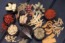 Thuốc chữa 11 bệnh của thận thủy khí suy