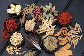 Thuốc chữa 11 bệnh của thận thủy khí suy