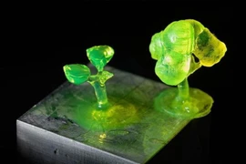 Phương pháp mới chuyển hóa chất thải sinh khối thành nhựa sinh học giá trị cao