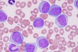 Cung cấp thuốc trực tiếp đến tế bào B để cải thiện phản ứng kháng thể