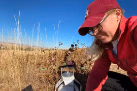 Thuốc kháng sinh và nhiệt độ tăng cao phá vỡ các cộng đồng vi sinh vật trong đất