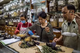 Đông y tham chiến chống virus corona