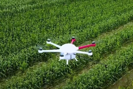 Thiết bị không người lái chẩn bệnh cho cây trồng