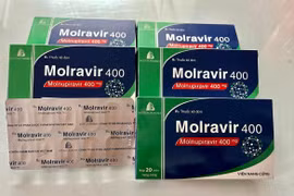 Sản xuất thuốc Molnupiravir trong nước đáp ứng nhu cầu điều trị