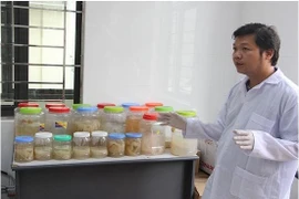 Chiết xuất collagen từ sứa biển