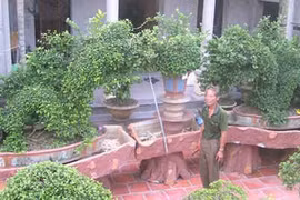 “Vua duối” Kinh Bắc kể chuyện “bắt rồng”