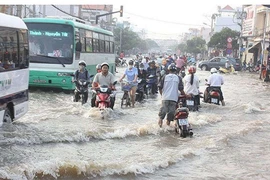 TP HCM: Chi hơn 7.600 tỷ đồng làm 218 dự án chống ngập