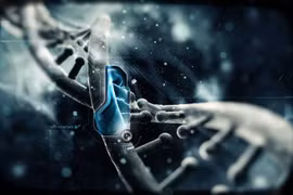 Nano có độc hại?