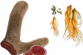 Cẩn thận với thuốc bổ dành cho phái mạnh