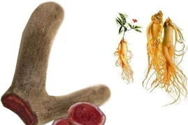 Cẩn thận với thuốc bổ dành cho phái mạnh