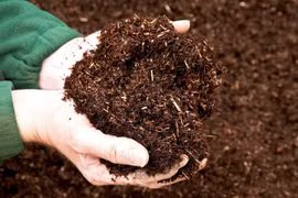 Ứng dụng công nghệ vi sinh giảm ô nhiễm môi trường