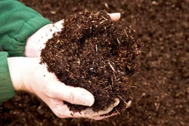 Ứng dụng công nghệ vi sinh giảm ô nhiễm môi trường