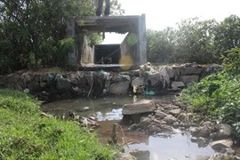 Dung dịch xử lý ô nhiễm mùi từ các nhà máy sản xuất bột cá