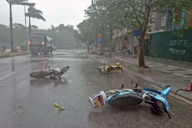 Phân biệt bão ảnh hưởng và bão đổ bộ