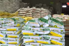  Đề xuất chuyển phân bón sang đối tượng chịu thuế GTGT