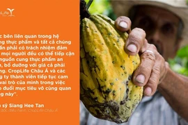 Hưởng ứng kêu gọi “An ninh Lương thực và Dinh dưỡng thế giới” của Liên Hiệp Quốc